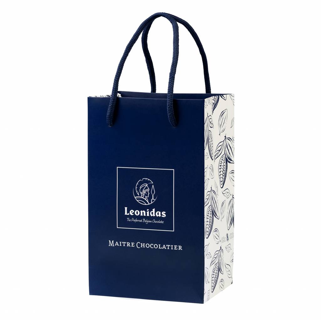6109543-sac cadeau bleu-S-biais