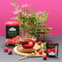 Ahmad Tea Raspberry sfeer