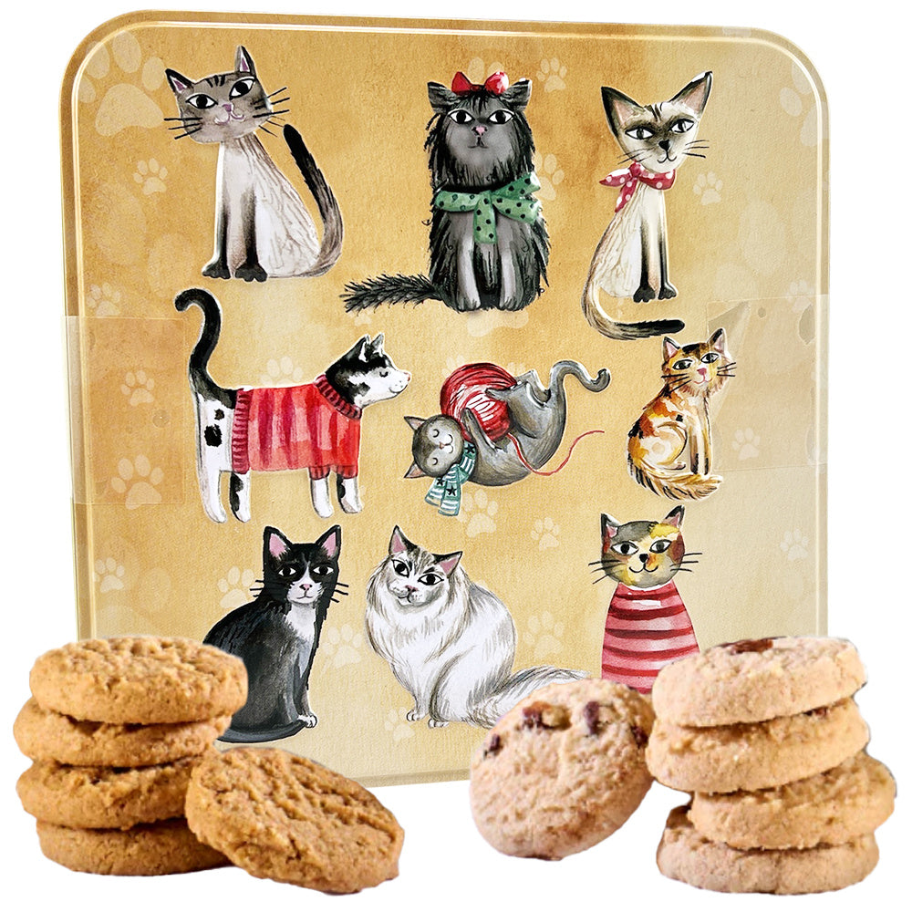 Blik Cats koekjes studio
