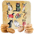 Blik Cats koekjes studio