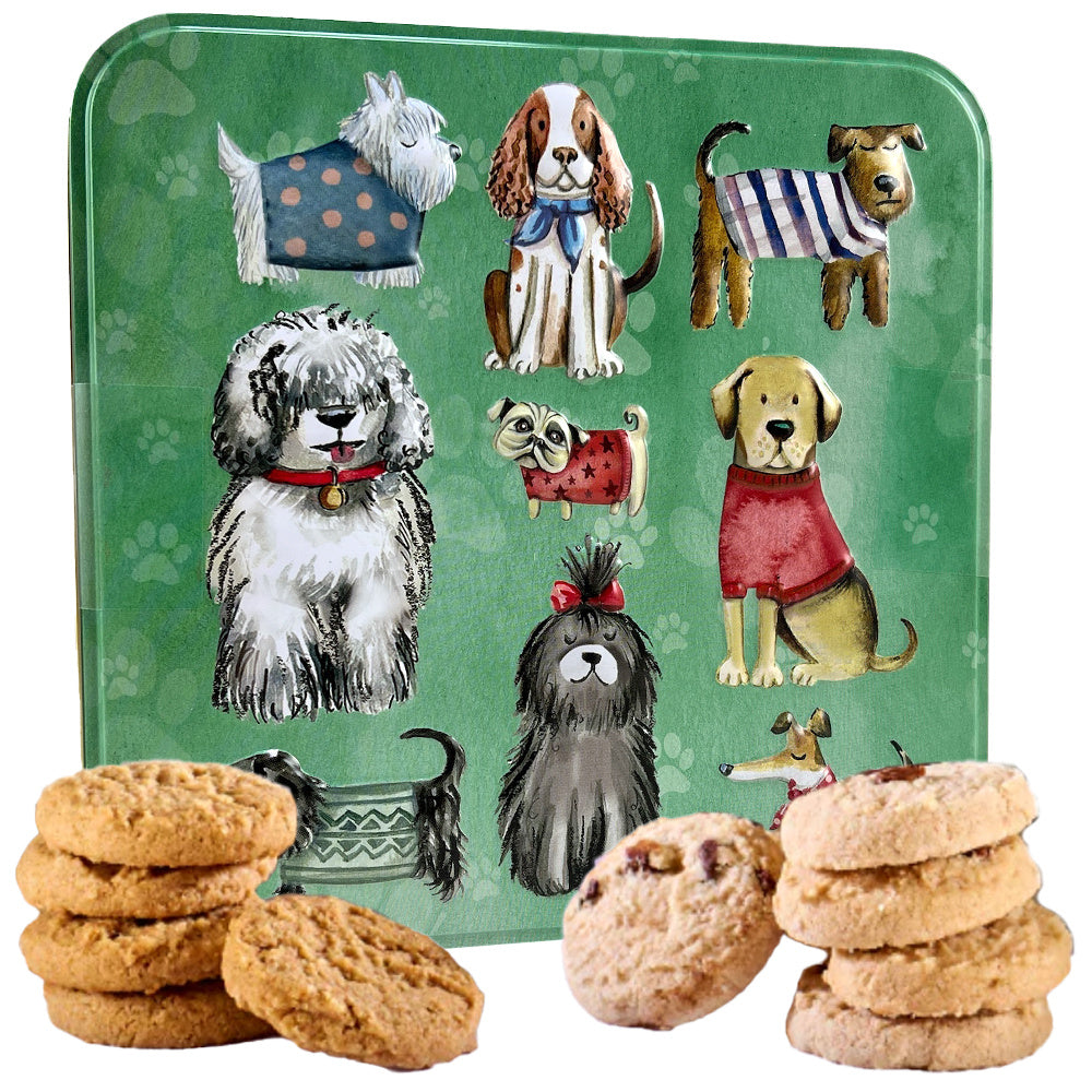 Blik Dogs koekjes studio