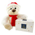 Kerstbeer + 250g pralines studio