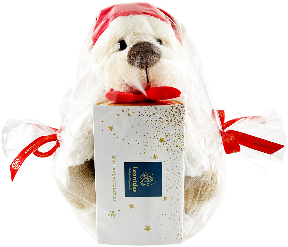 Kerstbeer + 500g pralines ingepakt