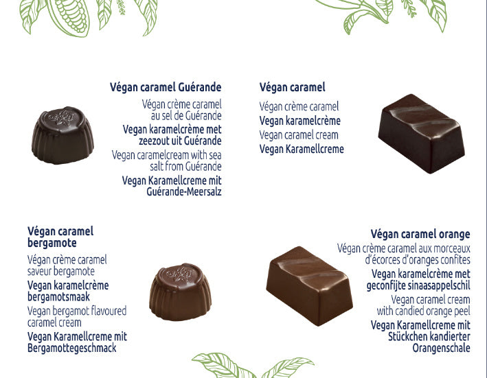 leaflet-vegan 202410
