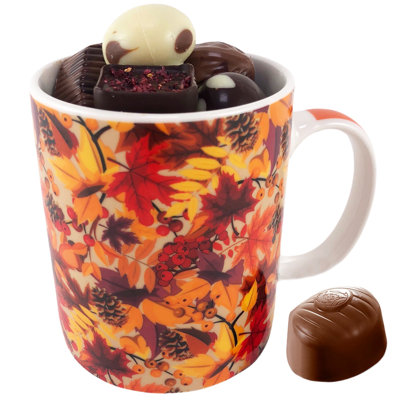 mok herfst studio