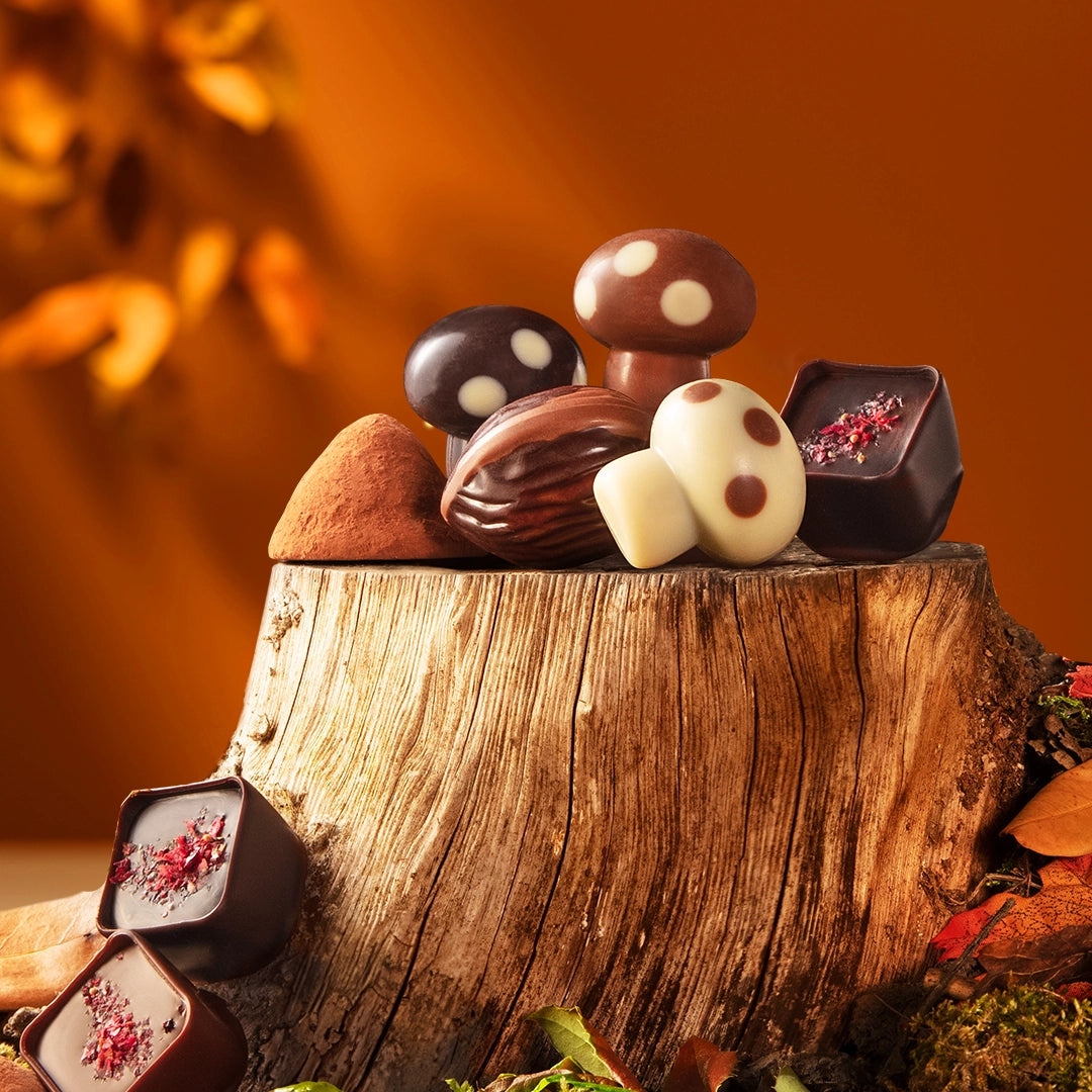 sfeerfoto herfst 2025