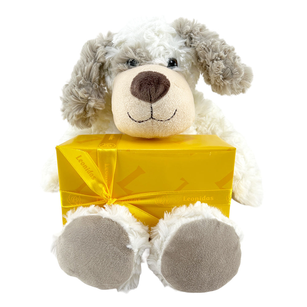 Teddybeer Bobby 300g pralines studio