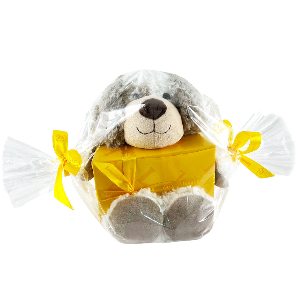 Teddybeer Bobby ingepakt