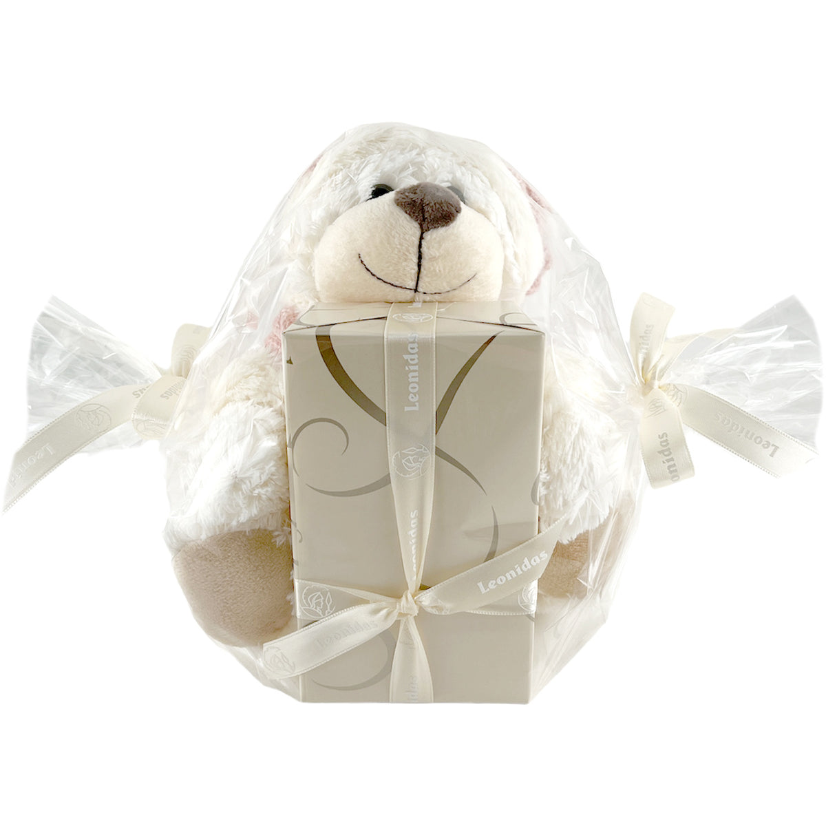 Teddybeer (roze) S ingepakt