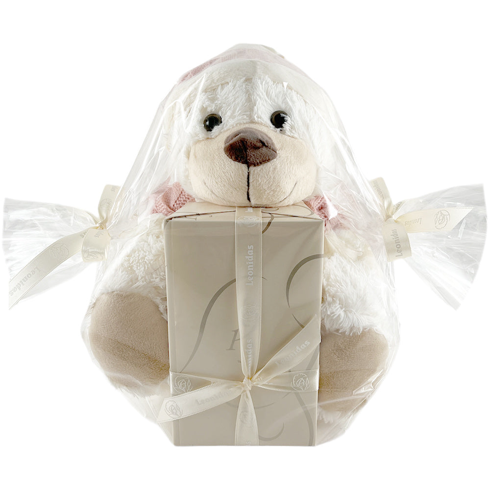 Teddybeer Ruby (M) ingepakt