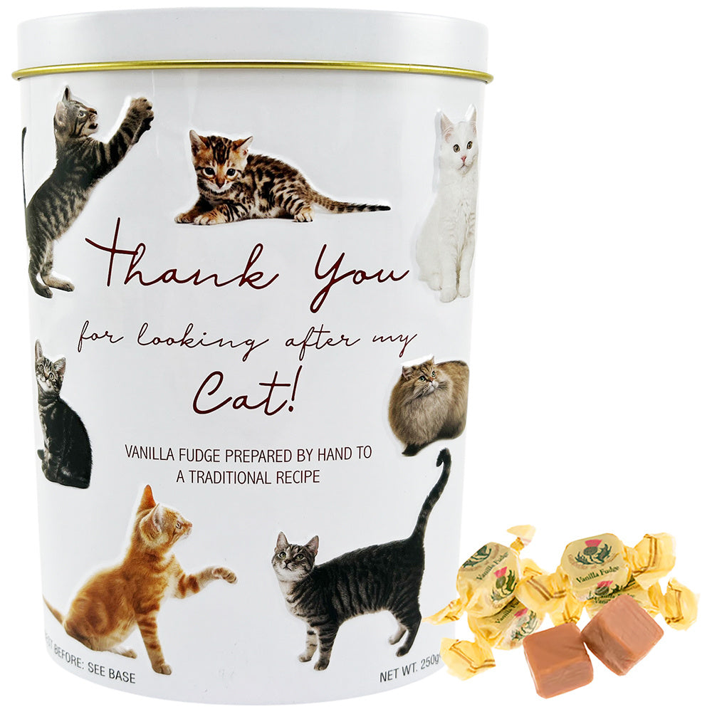 Tin Vanilla Fugde Thank You Cat 250g front studio