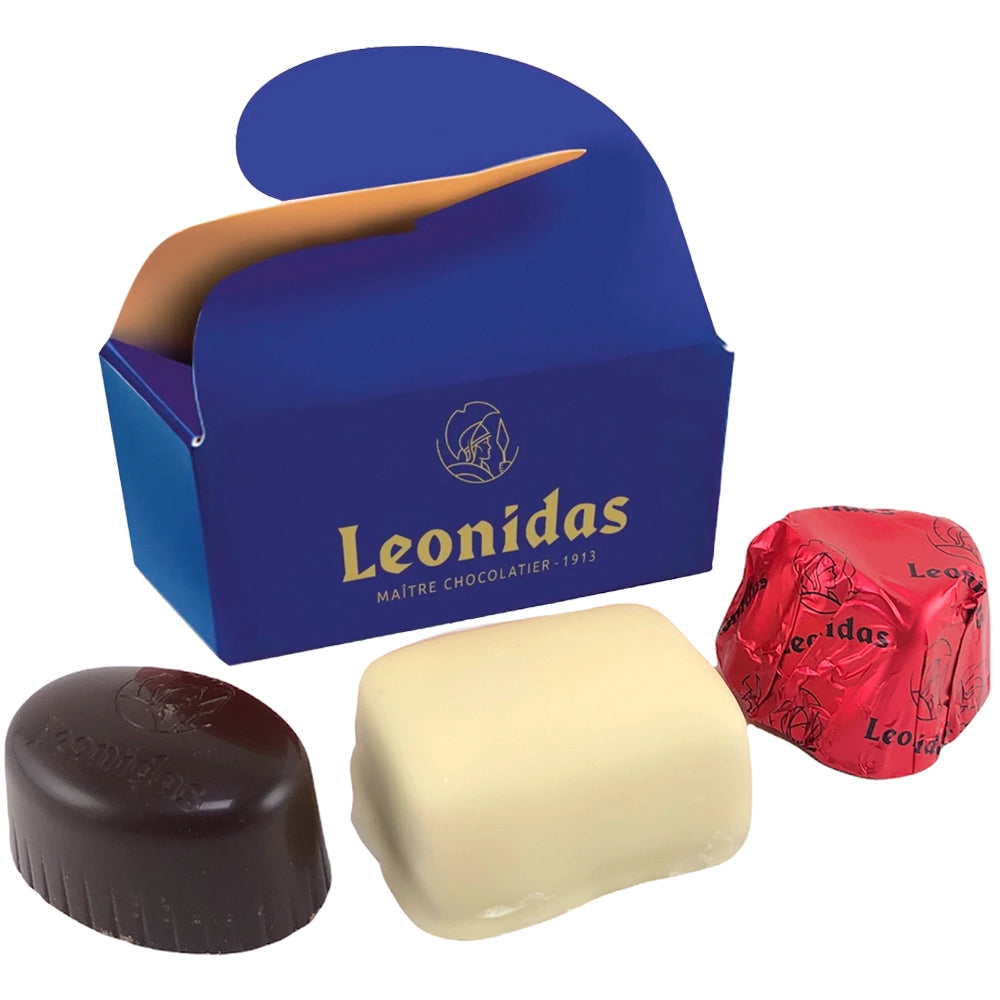 vlinderdoosje leonidas blauw studio